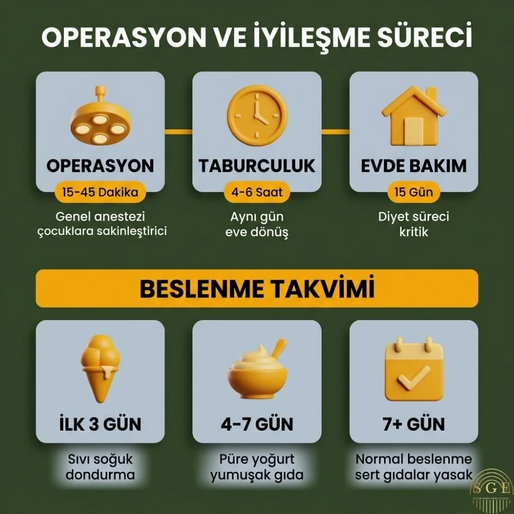 Bademcik ve geniz Eti aynı şey mi